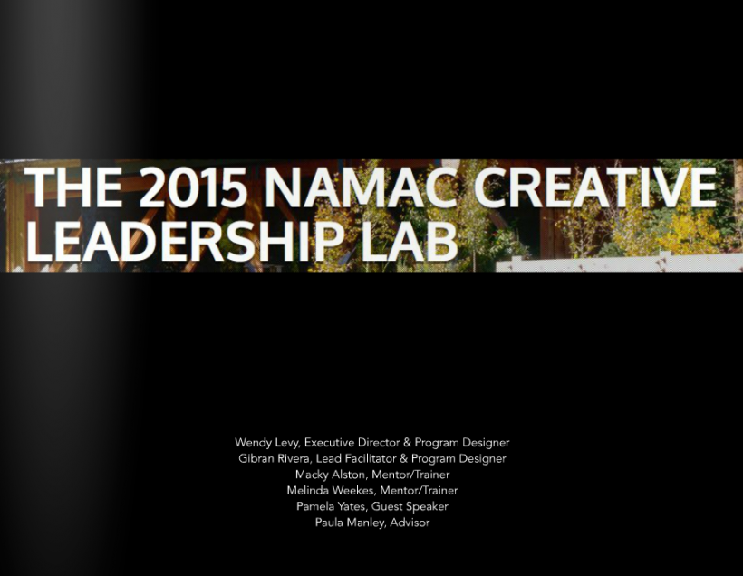 2015 NAMAC Creative Leadership Lab